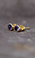 Tanzanite  Studs 1